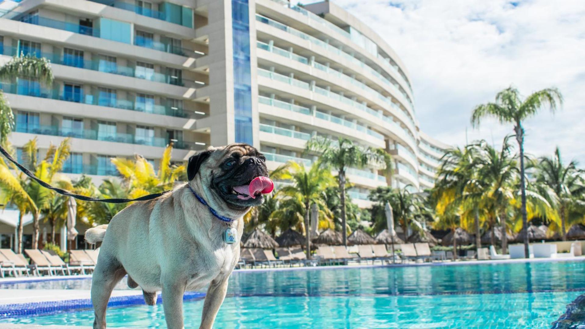 Palacio Mundo Imperial All inclusive hotel Acapulco Esterno foto Millyard at the Hard Rock Hotel in Cancun